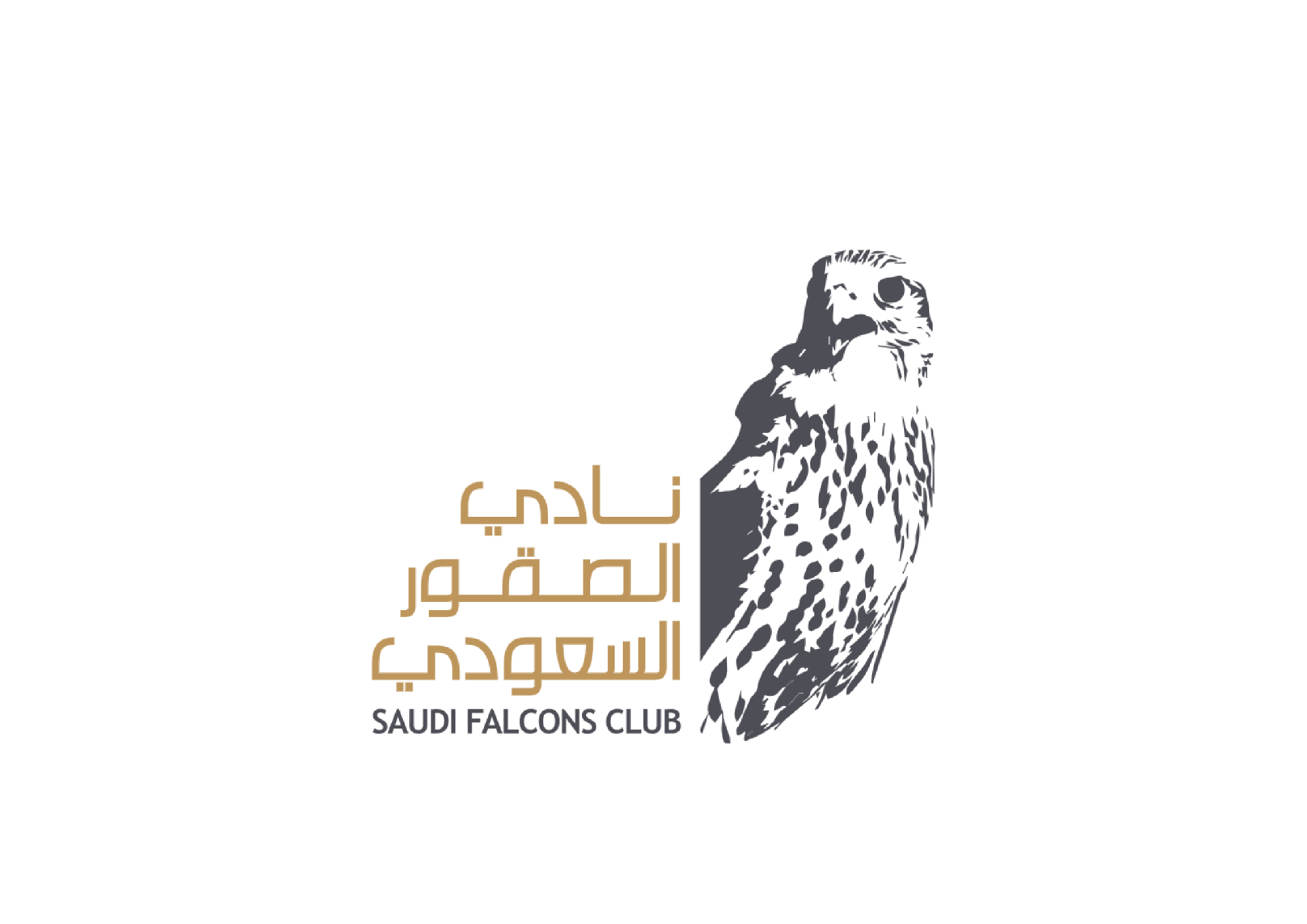 شعار شريك 7